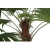 Dirbtinis augalas Palmė, 200 cm