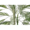 Dirbtinis augalas Palmė, 200 cm
