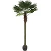 Dirbtinis augalas Palmė, 250 cm
