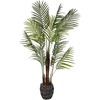 Dirbtinis augalas Palmė Hovėja, 120 cm