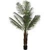 Dirbtinis augalas Palmė Hovėja, 200 cm
