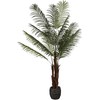 Dirbtinis augalas Palmė Hovėja, 200 cm