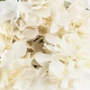 Dirbtinių hortenzijų puokštė, ivory