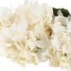 Dirbtinių hortenzijų puokštė, ivory