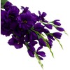 Dirbtinių kardelių puokštė, 5 vnt., violetinė