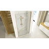 Dušo durys Rea Hugo Gold Brushed, 80 cm