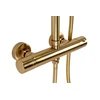 Dušo komplektas su termostatu REA Parot, Brushed Gold