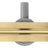 Dušo latakas REA Neox Slim Pro, Brushed Gold, 60 cm