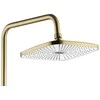 Dušo sistema REA Storm, Brushed Gold