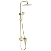 Dušo sistema REA Storm, Brushed Gold