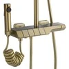 Dušo sistema su termostatu REA Rob, Brushed Gold