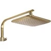 Dušo sistema su termostatu REA Tom, Brushed Gold