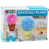 Edukacinis kristalų auginimo rinkinys "Crystal Plant"