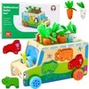 Edukacinis medinis automobilis su priedais