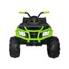 Elektrinis keturratis vaikams Quad BDM 0909 24V, žalias