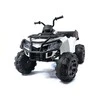 Elektrinis keturratis vaikams Quad BDM 0909 24V, baltas