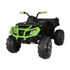 Elektrinis keturratis vaikams Quad BDM 0909 24V, žalias