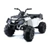 Elektrinis keturratis vaikams Quad BDM 0909 24V, baltas