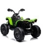 Elektrinis keturratis vaikams Quad CAN-AM Renegate, žalias