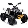 Elektrinis keturratis vaikams Quad CAN-AM Renegate, baltas