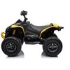 Elektrinis keturratis vaikams Quad CAN-AM Renegate, geltonas