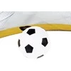Futbolo vartai su kamuoliu