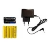 Gaisrinės automobilis su nuotolinio valdymo pultu, 28 cm