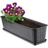 Gėlių vazonas Ratolla Case, 59 cm, antracito