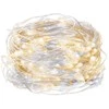 Girlianda 20 LED MicroLED "Smart", šiltai/šaltai balta