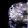 Girlianda 20 LED MicroLED "Smart", šiltai/šaltai balta