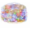 Girlianda 20 LED MicroLED "Smart", spalvota
