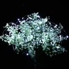 Girlianda 80 LED Micro, šalta balta