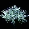 Girlianda 80 LED Micro, šalta balta
