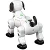 Interaktyvus šuniukas robotas su nuotolinio valdymo pultu