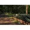 Kamufliažinis lauko tentas Bradas CAMOforest, 1,5 x 5 m, 90 g/m²