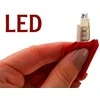 LED balionų rinkinys, 5 vnt.