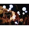 LED balionų rinkinys, balti, 5 vnt.