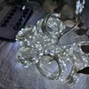 Lempučių užuolaida 300 LED, 3x3 m, šaltai balta, su pultu