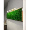 Lubinis šviestuvas Sieninis LED šviestuvas Venus Gold, 60 cm