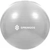 Mankštos kamuolys su pompa Springos FB0008 75cm