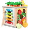Medinis edukacinis kubas 5in1