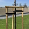 Medžių tvirtinimo juosta Bradas TREE SUPPORT, 25 mm x 50 m