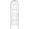 Metalinės atramos vijokliniams augalams, 190x55 cm, 2 vnt. (Nr. 2)