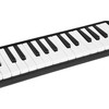 Muzikos instrumentas "Melodika"