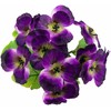 Našlaičių puokštė, 5 vnt., violetinė