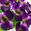 Našlaičių puokštė, 5 vnt., violetinė