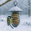 Pakabinama ovali paukščių lesyklėlė