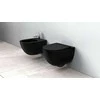 Pakabinamas klozetas Rea Carlo Mini Rimless Flat, Juodas Mat