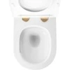 Pakabinamas klozetas Rea Carlo Mini Tornado NFQ, Gold Edge