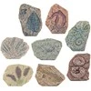 Paleontologinis kasinėjimų rinkinys vaikams